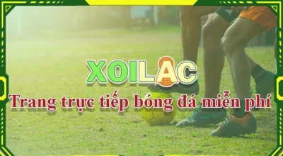 Xem bóng đá - Hành trình phát triển của trang xmx21.com